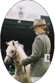 Photos of the Royal Welsh Show 2004 by Janneke deRade, Author & Photographer